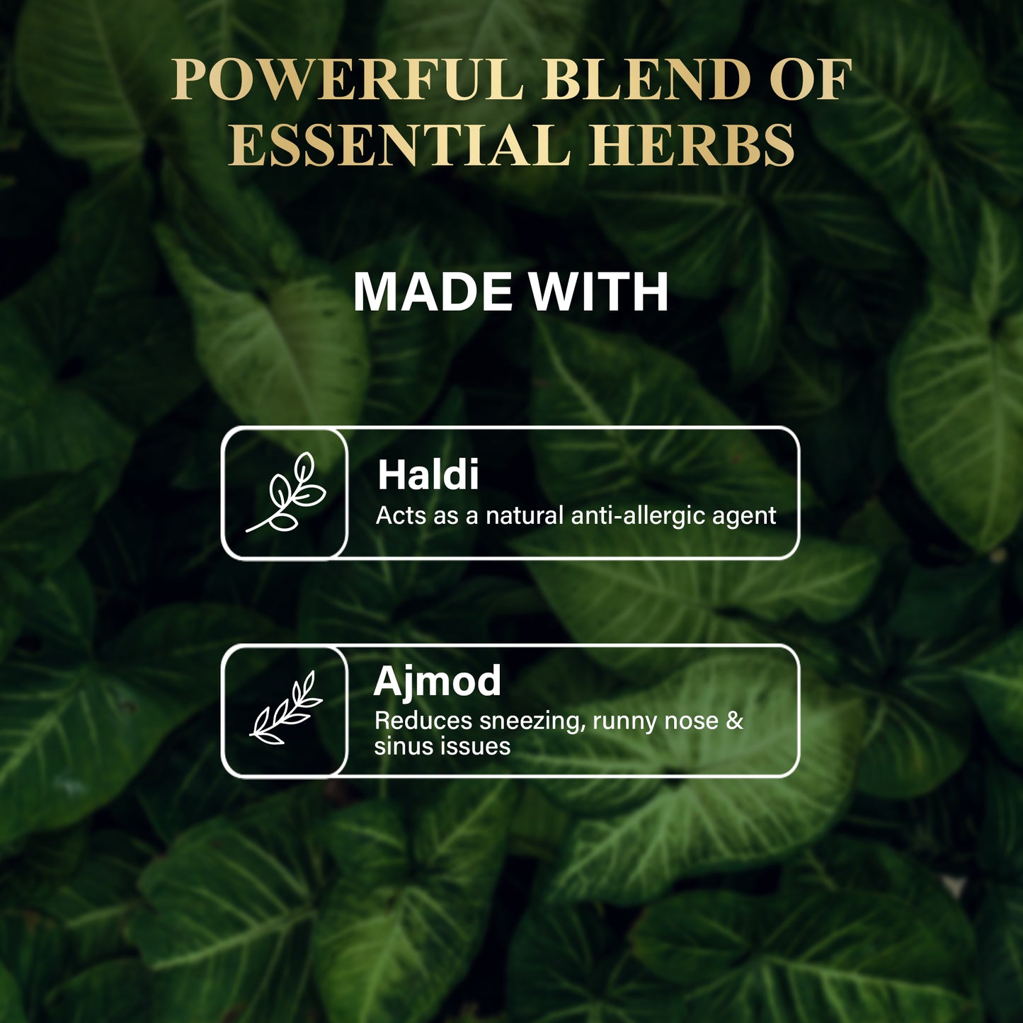 Attar X Allergy Relief Kit