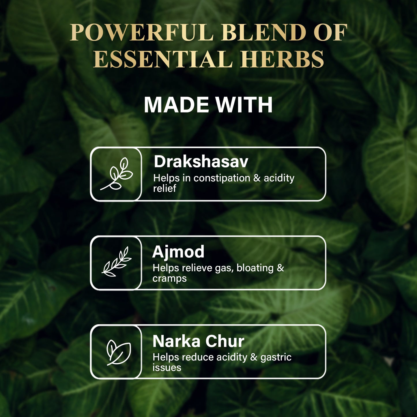 Attar X Digestive Care Kit