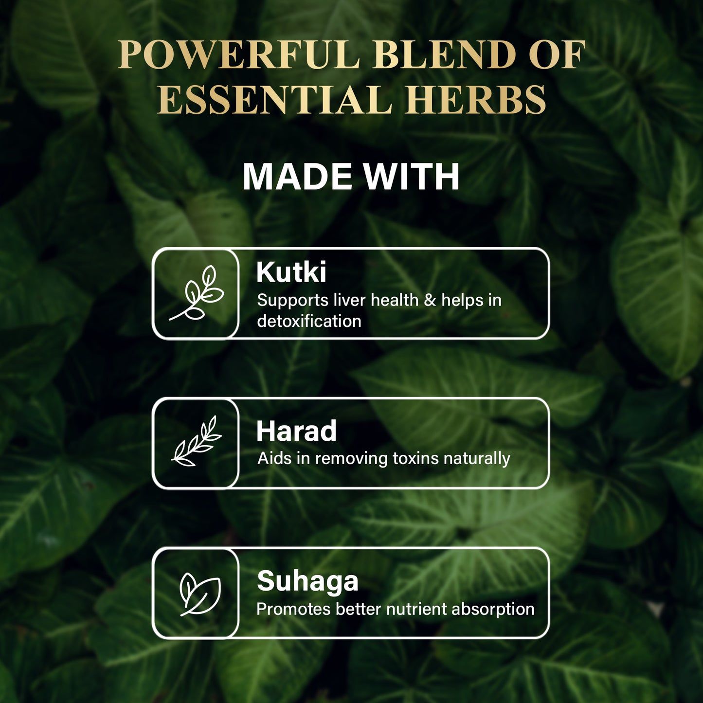 Attar x Liver Care Kit