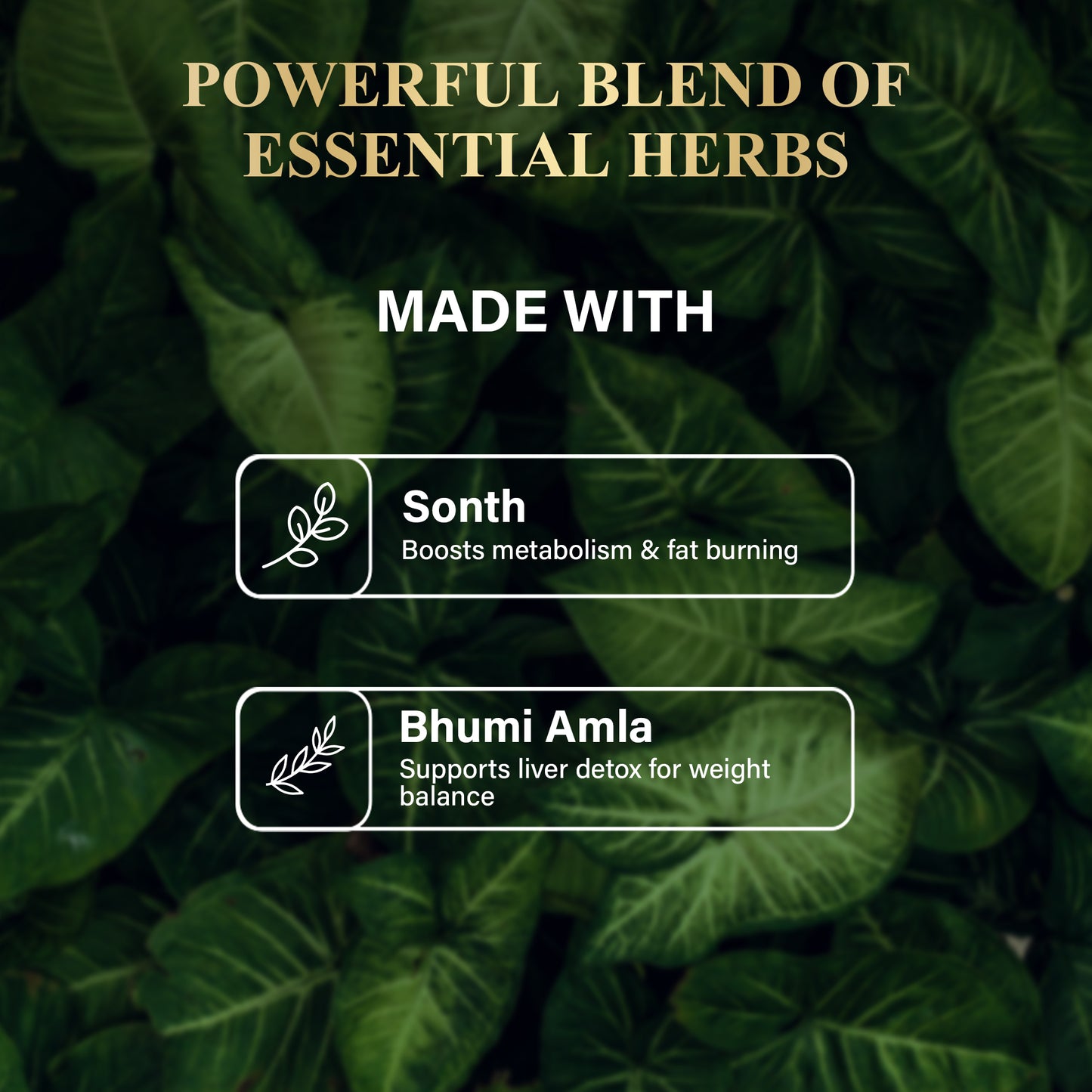 Attar x Slim Fit Kit