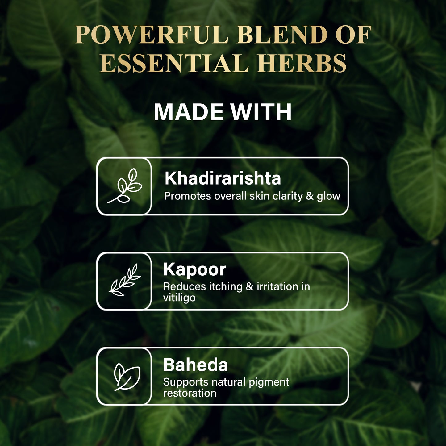Attar X Vitiligo Care Kit