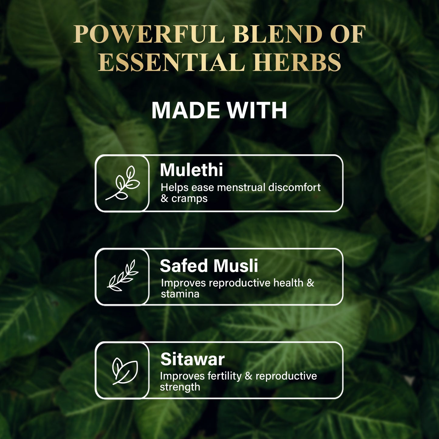Attar x Women’s Care Kit