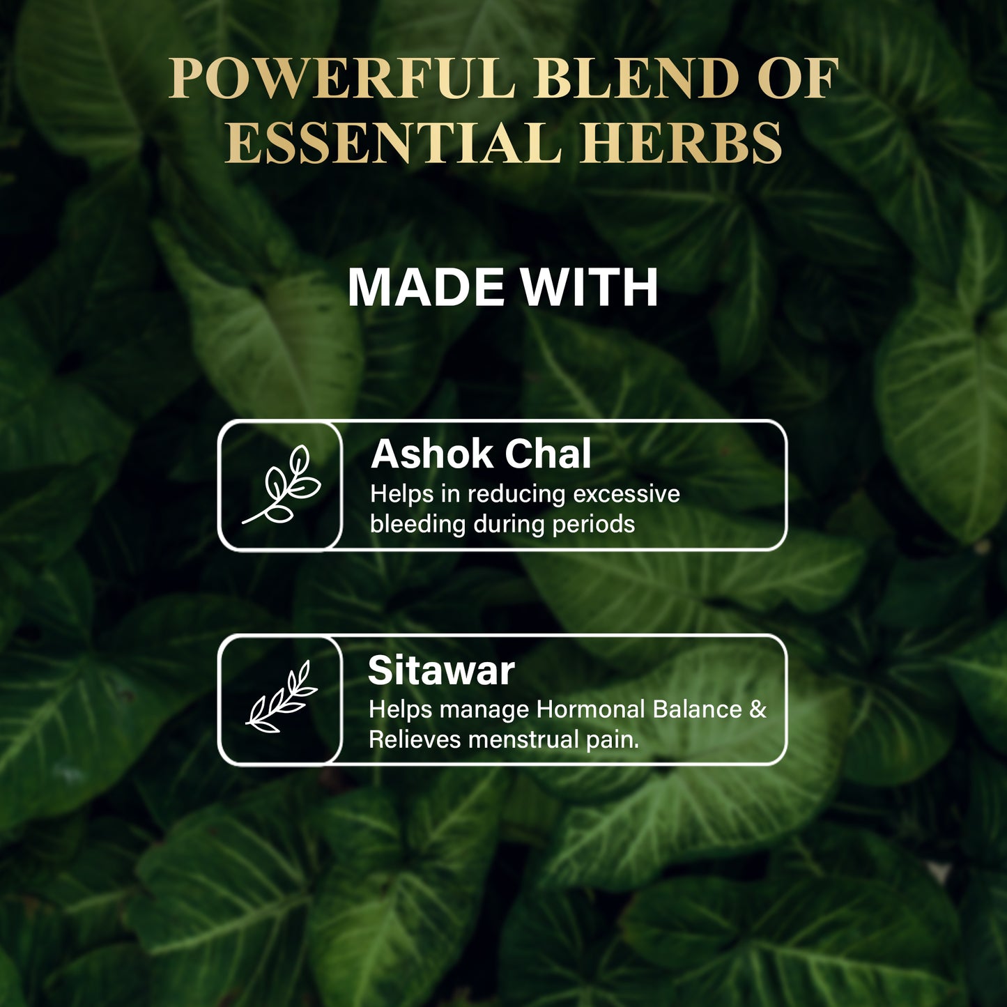 Attar x Period Care Kit