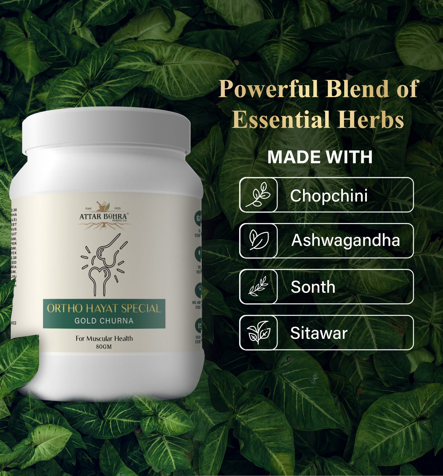 Ortho Hayat Special Gold Churna (80gm) | For joint pain | Muscular pain