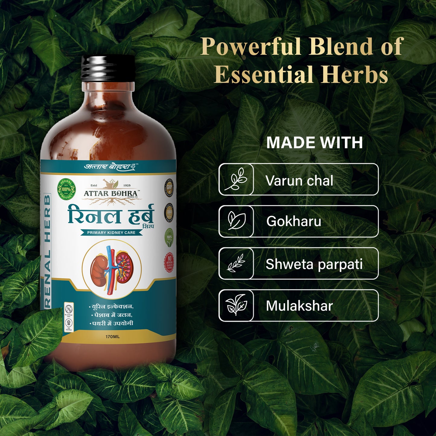 रीनल हर्ब (170ml/400ml) | प्राथमिक किडनी देखभाल के लिए