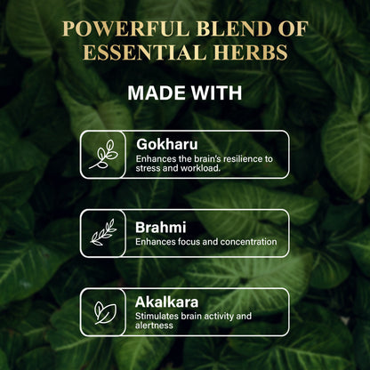 Attar x Brain Boost Kit