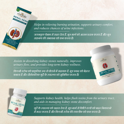 Attar x Kidney Stone Kit