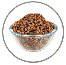 vidanga