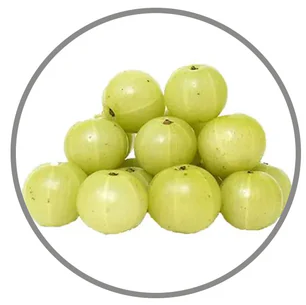 AMLA