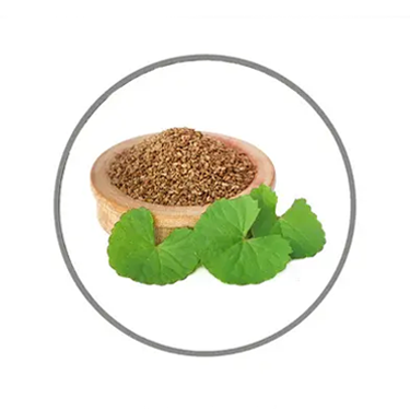 Ajwain