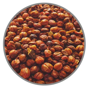 MALKANGANI